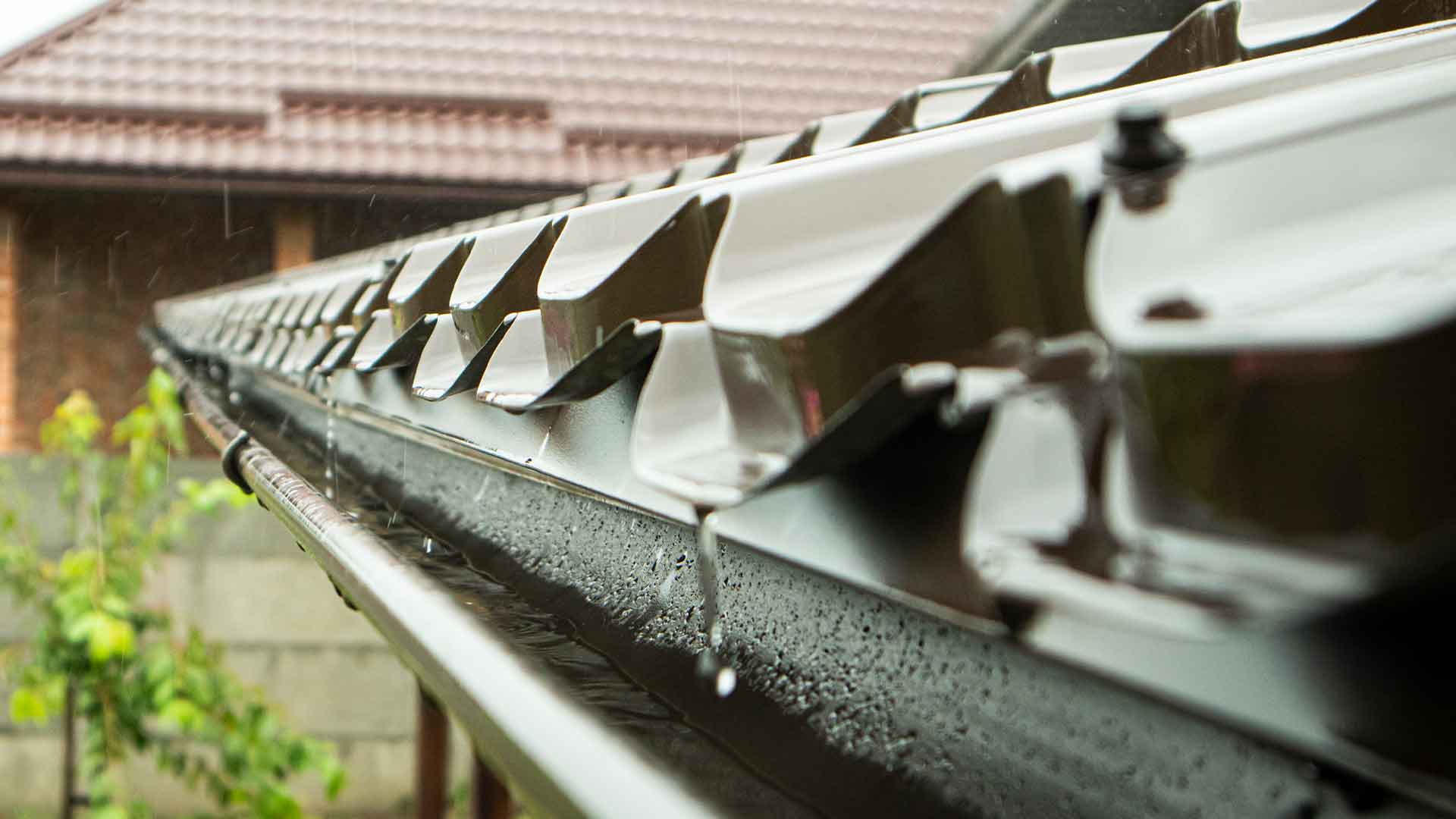 Storm Damage? Here's What to Do First